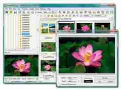 FastStone Image Viewer - Enable the Color management system