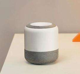 Is Smart Speaker a Privacy Thief